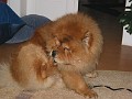 200411129 036
